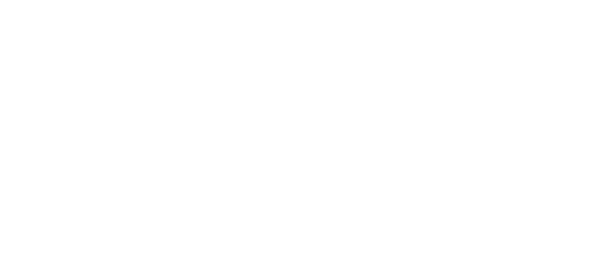 Logo blanc